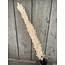 Creme pluim - 120 cm