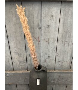 ## LichtBruine pluim - 120 cm