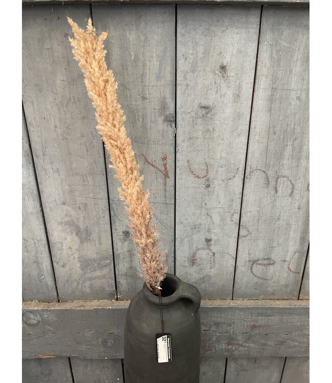 ## LichtBruine pluim - 120 cm