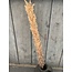 ## LichtBruine pluim - 120 cm