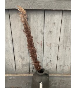 ## Bruine pluim - 120 cm