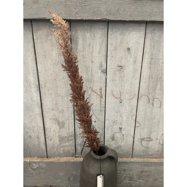 ## Bruine pluim - 120 cm