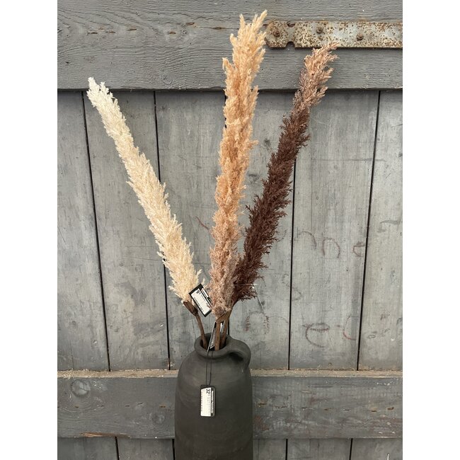 ## Bruine pluim - 120 cm