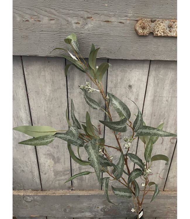 Eucalyptus - 125 cm