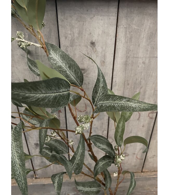 Eucalyptus - 125 cm