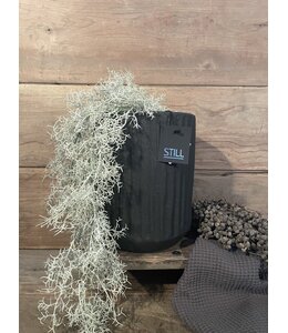 Still ## wordt niet verzonden - 31127 - Carv Planter 15 Black Series - Ca. 18 L x 18 B x 26 H cm