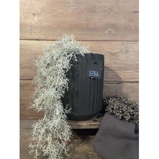 Still wordt niet verzonden - 31127 - Carv Planter 15 Black Series - Ca. 18 L x 18 B x 26 H cm