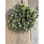 # Krans Eucalyptus M groen