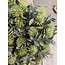 # Krans Eucalyptus M groen