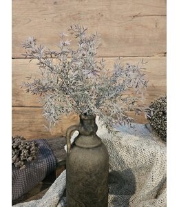 SEDUM BUSH GREY 30 cm