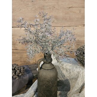 SEDUM BUSH GREY 30 cm