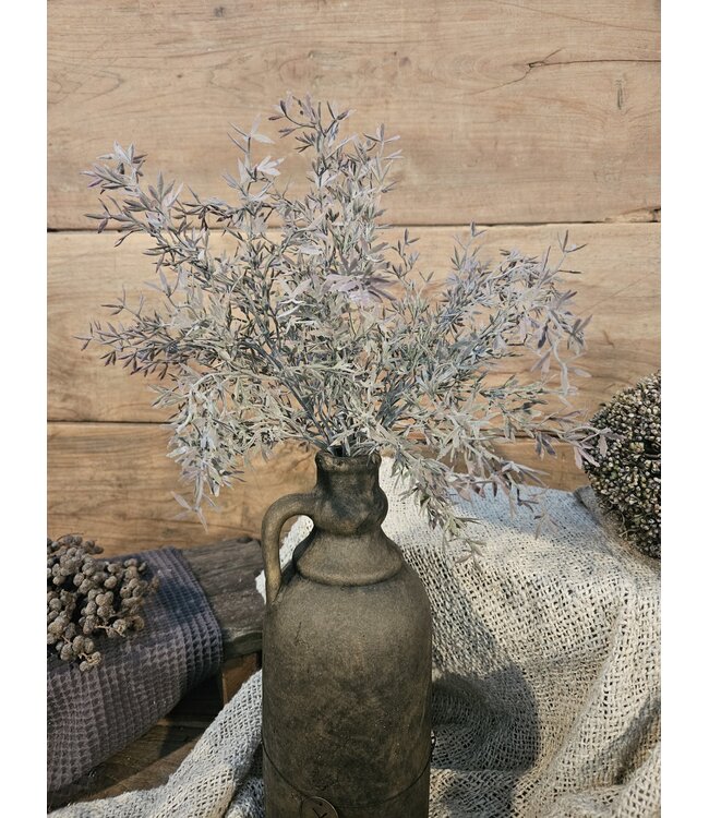 SEDUM BUSH GREY 30 cm
