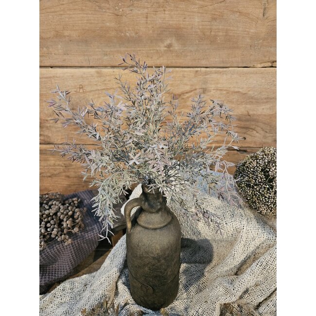 SEDUM BUSH GREY 30 cm