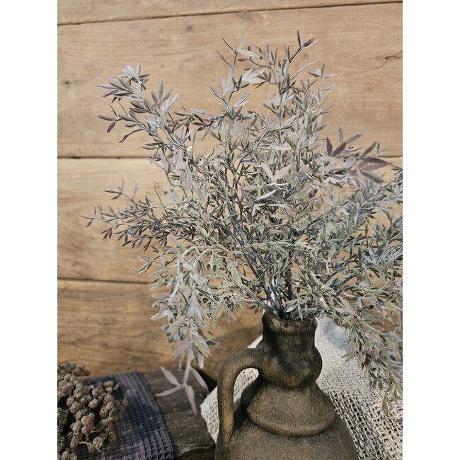 SEDUM BUSH GREY 30 cm