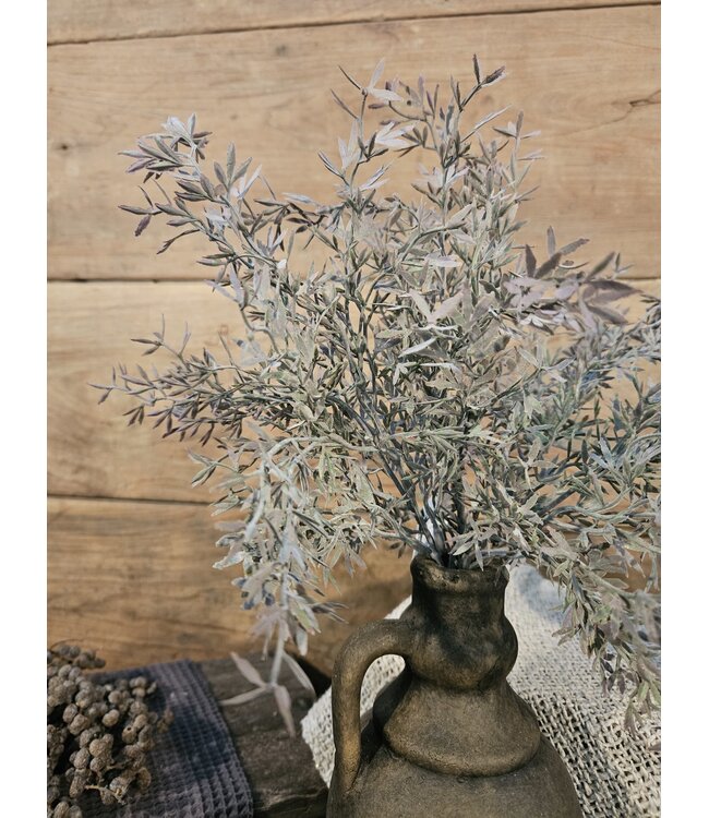 SEDUM BUSH GREY 30 cm