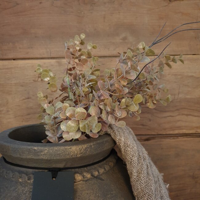 ## Bronzen eucalyptus 55 cm