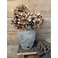 # Vase Nostalgic Stone Black M D.22 H.28