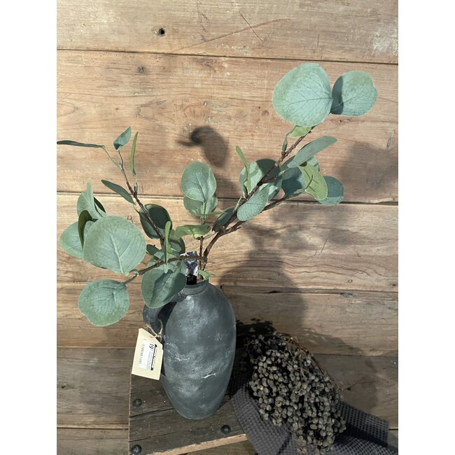 Eucalyptus Spray Green 64cm