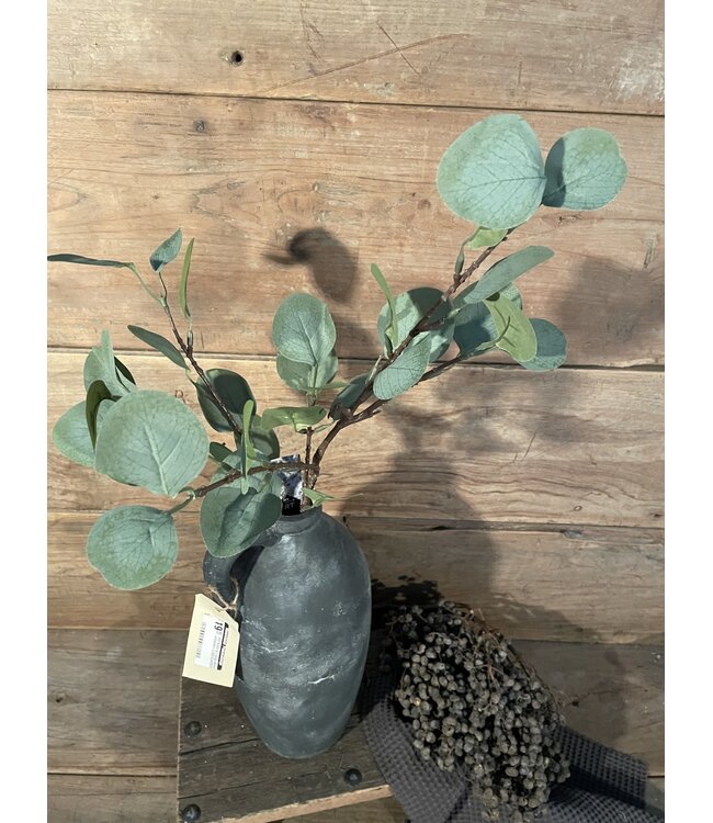 Eucalyptus Spray Green 64cm
