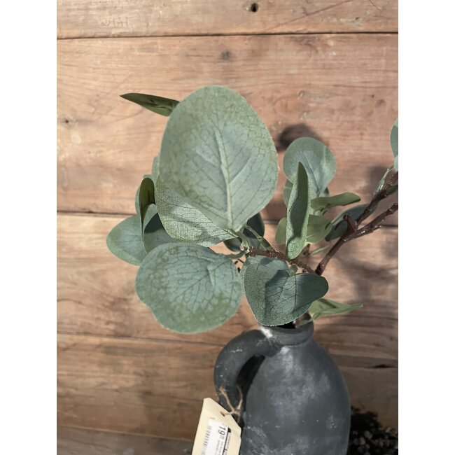 Eucalyptus Spray Green 64cm