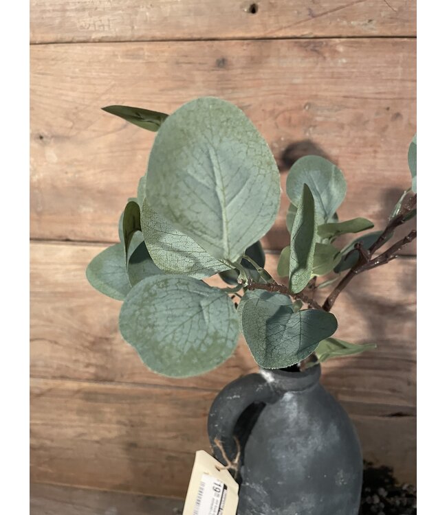 Eucalyptus Spray Green 64cm
