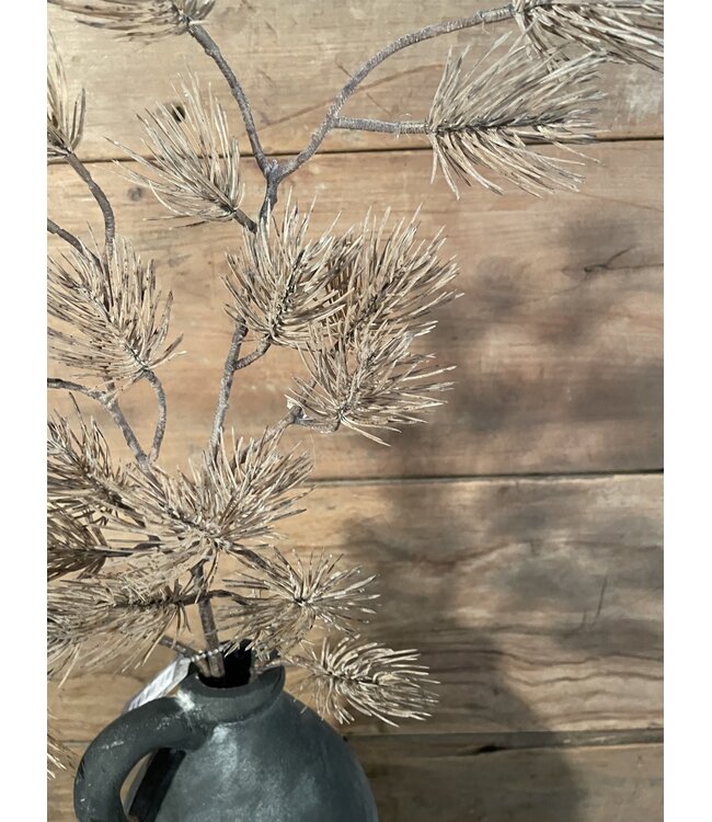 Pine Spray Engers Brown 76cm