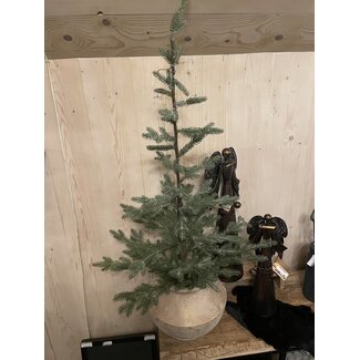 Countryfield 809995-Kerstboom Indy L groen