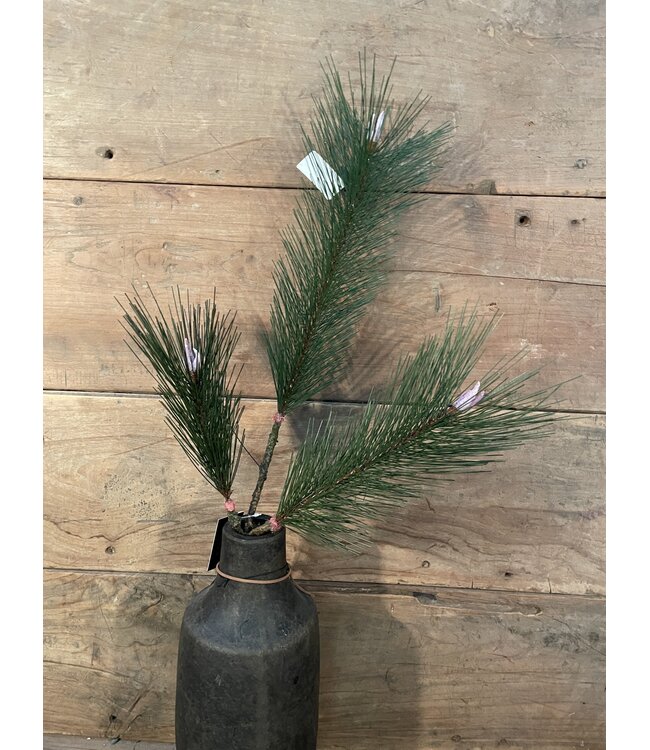 Countryfield Pinus groen-L11B28H100CM - kunst