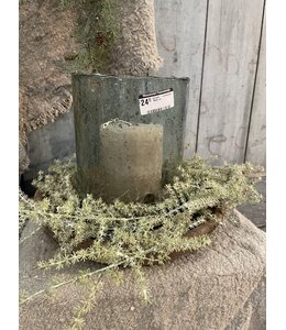 Countryfield Asparagus groen - kunst -L3,8B10H100CM