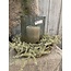Countryfield ## Asparagus groen - kunst -L3,8B10H100CM