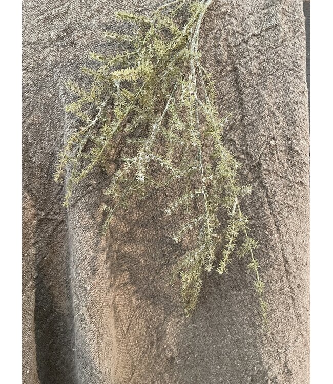 Countryfield Asparagus groen - kunst -L3,8B10H100CM
