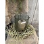 Countryfield ## Asparagus groen - kunst -L3,8B10H100CM