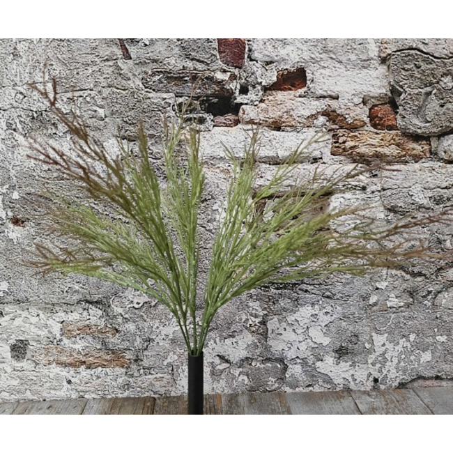 ## Flowr Toef wilde tijm 45cm