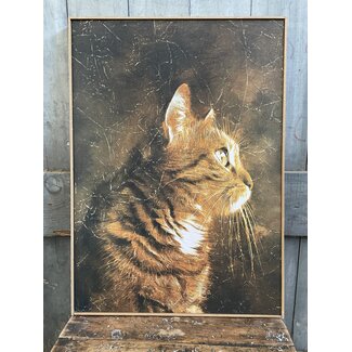 # wordt niet verzonden - Schilderij kat -  50x70x3,5cm