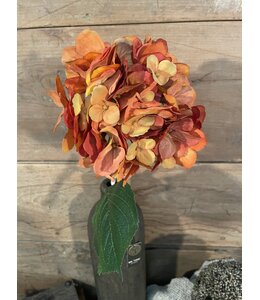 Oranje hortensia 61 cm