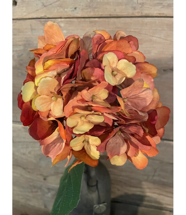 Oranje hortensia 61 cm