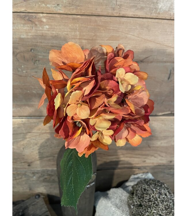 Oranje hortensia 61 cm