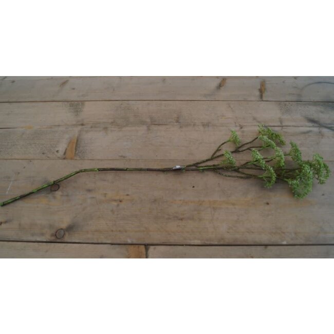 ## E333 - berry spray/groen 70 cm