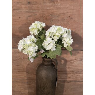 ## Snowball Bush x7 26cm - wit