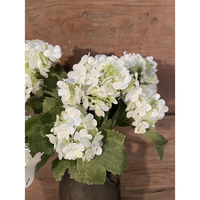 ## Snowball Bush x7 26cm - wit
