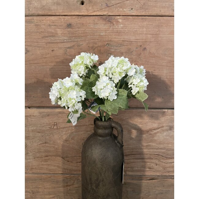 ## Snowball Bush x7 26cm - wit