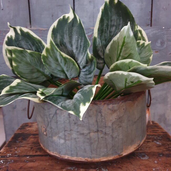 # Mix - Iron round bucket D30/35cm - metaal - foto kan afwijken