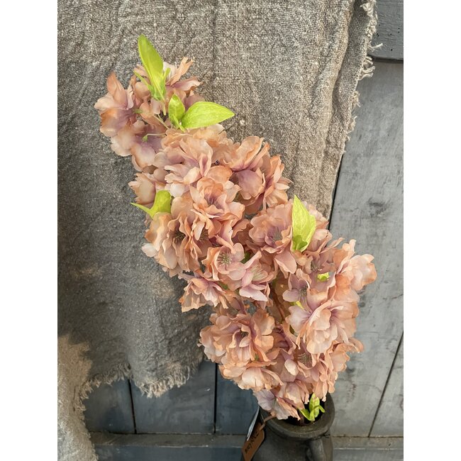 ## Winter Blossom Orange 102 cm