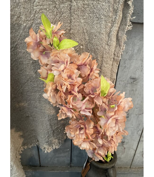 ### Winter Blossom Orange 102 cm
