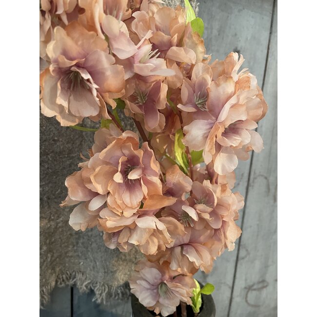 ## Winter Blossom Orange 102 cm
