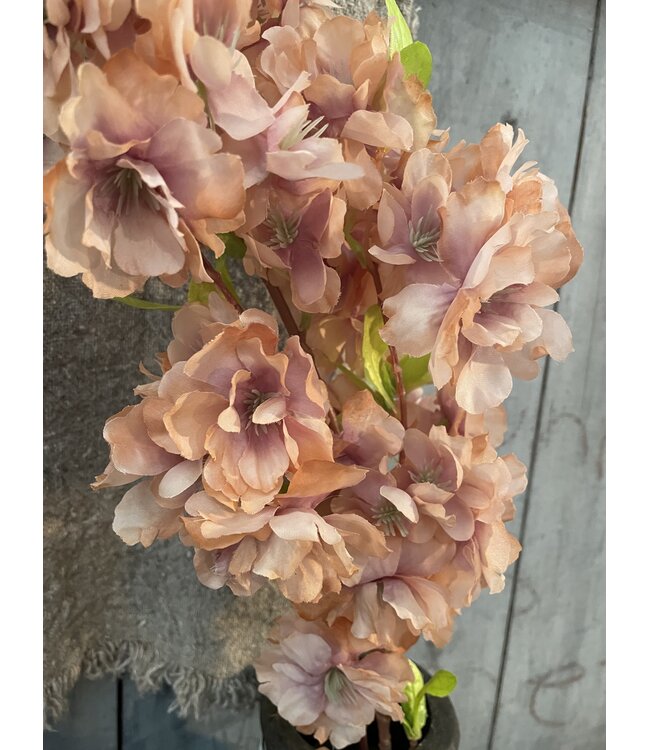 ### Winter Blossom Orange 102 cm