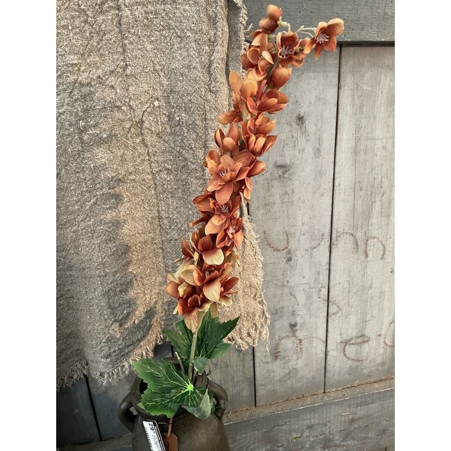 # Delphinium Dark Yellow 90 cm