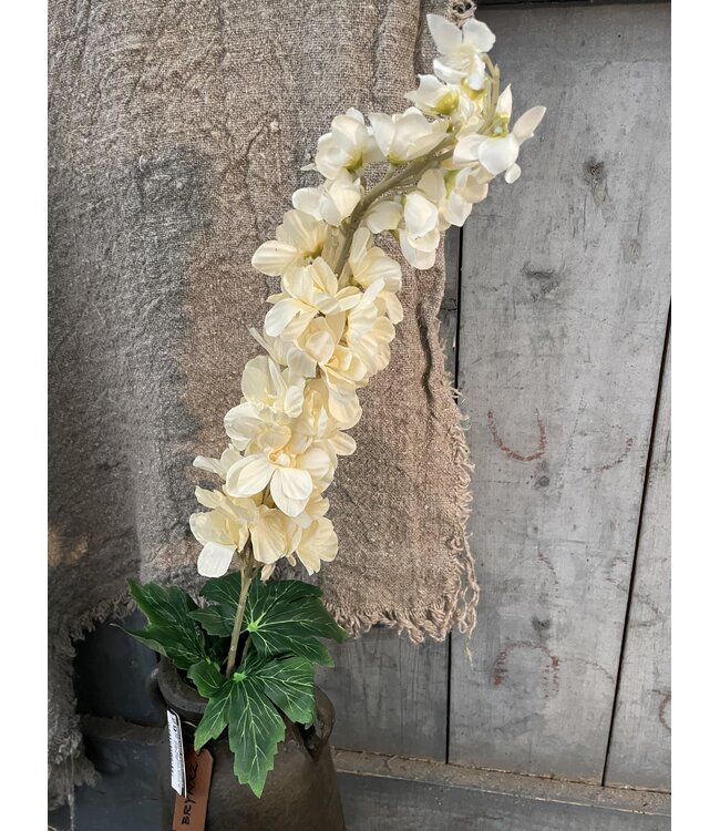 Delphinium Cream 90 cm