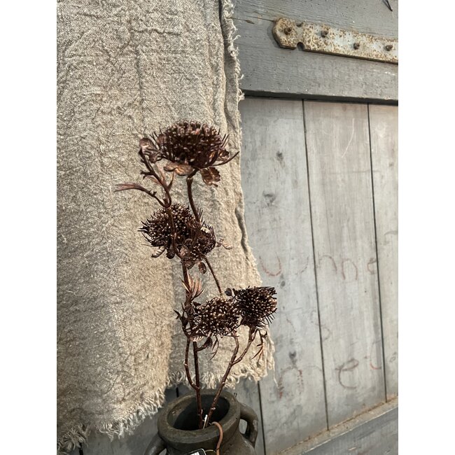 ## Multiple fruit spray, 68 cm, rosee