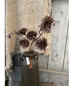 Multiple fruit spray, 66 cm, rosee